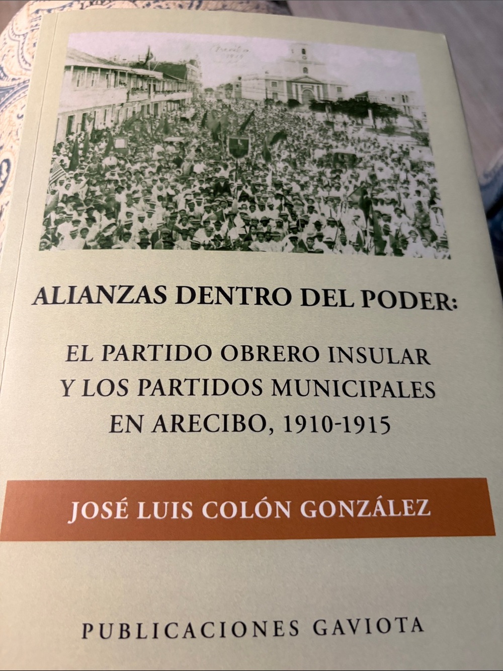 Alianzas Dentro del Poder (Beige) by José Luis Colón González